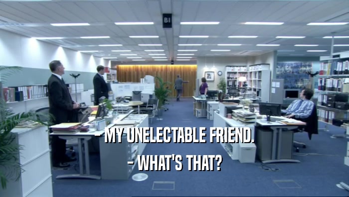 - MY UNELECTABLE FRIEND. - WHAT'S THAT? 