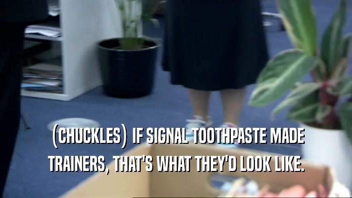 (CHUCKLES) IF SIGNAL TOOTHPASTE MADE TRAINERS, THAT'S WHAT THEY'D LOOK LIKE. 