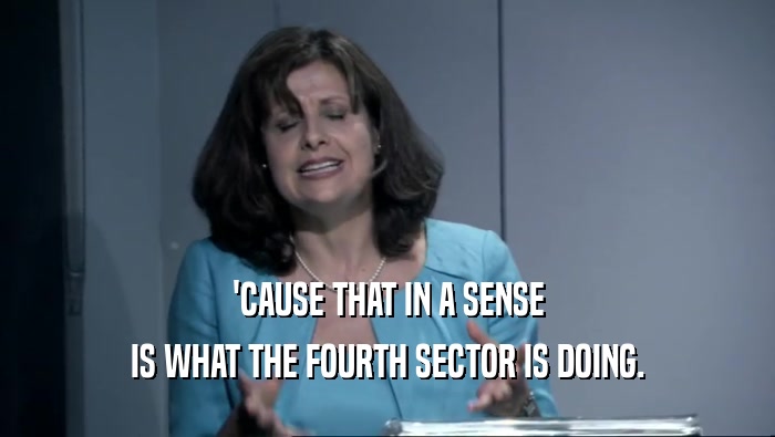 'CAUSE THAT IN A SENSE IS WHAT THE FOURTH SECTOR IS DOING. 