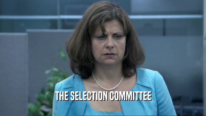 THE SELECTION COMMITTEE  