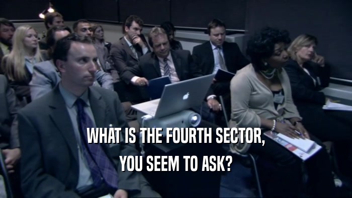 WHAT IS THE FOURTH SECTOR, YOU SEEM TO ASK? 