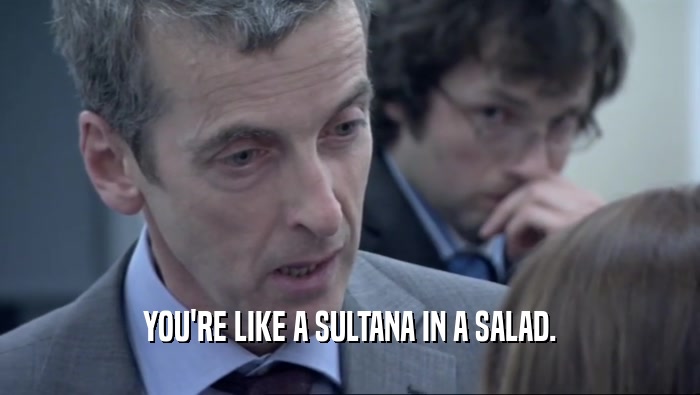 YOU'RE LIKE A SULTANA IN A SALAD.
  