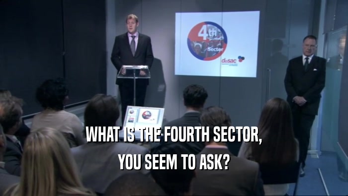 WHAT IS THE FOURTH SECTOR, YOU SEEM TO ASK? 