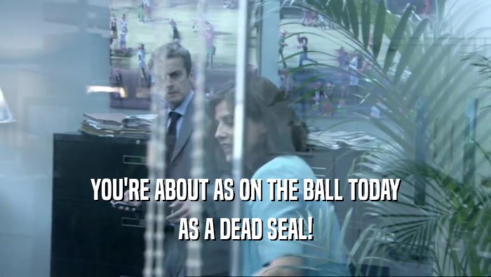 YOU'RE ABOUT AS ON THE BALL TODAY AS A DEAD SEAL! 