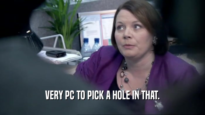 VERY PC TO PICK A HOLE IN THAT.  