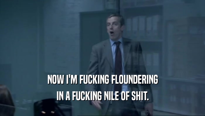 NOW I'M FUCKING FLOUNDERING IN A FUCKING NILE OF SHIT. 