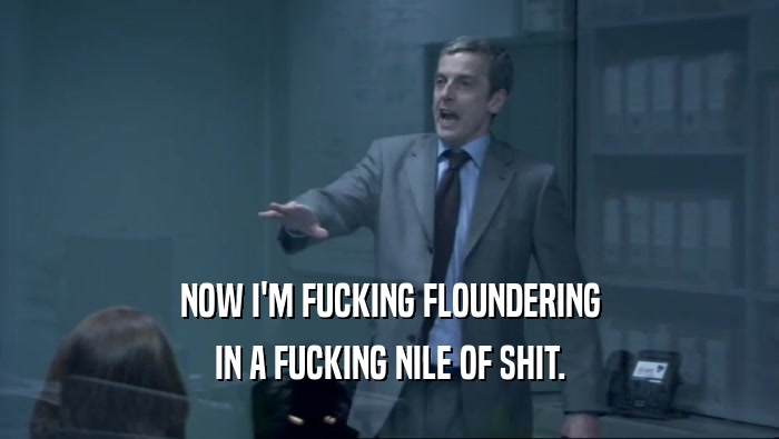 NOW I'M FUCKING FLOUNDERING IN A FUCKING NILE OF SHIT. 