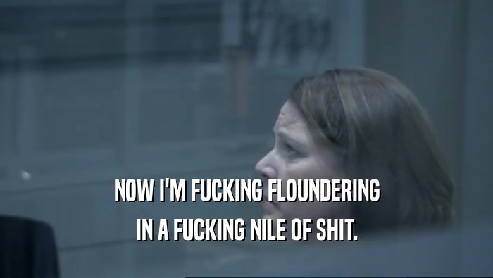 NOW I'M FUCKING FLOUNDERING IN A FUCKING NILE OF SHIT. 