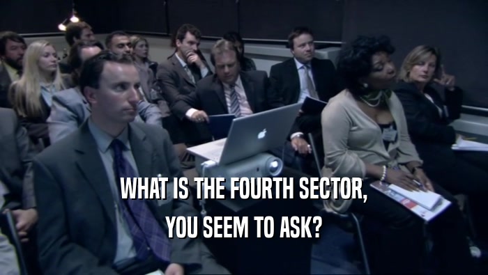 WHAT IS THE FOURTH SECTOR, YOU SEEM TO ASK? 