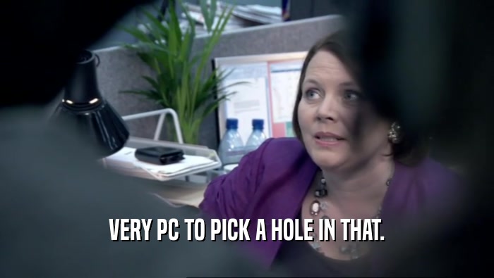 VERY PC TO PICK A HOLE IN THAT.  