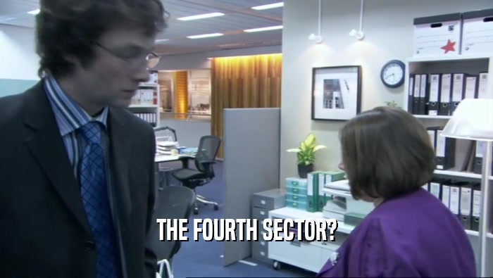 THE FOURTH SECTOR?  