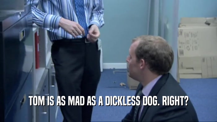 TOM IS AS MAD AS A DICKLESS DOG. RIGHT?  