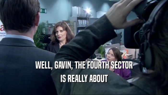 WELL, GAVIN, THE FOURTH SECTOR IS REALLY ABOUT 