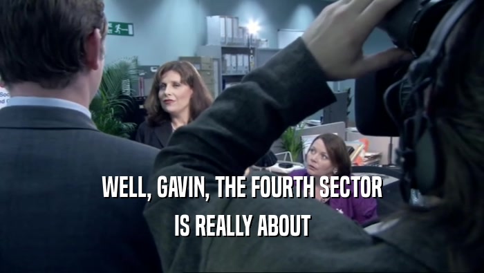 WELL, GAVIN, THE FOURTH SECTOR IS REALLY ABOUT 
