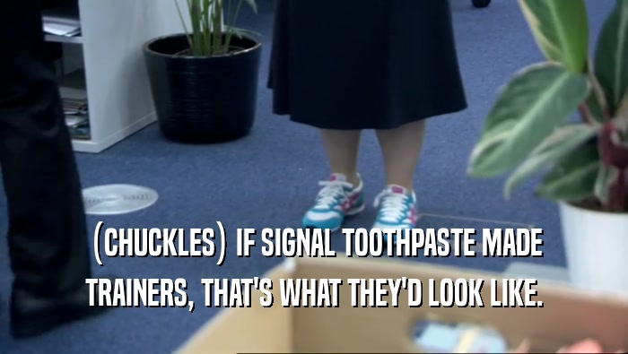 (CHUCKLES) IF SIGNAL TOOTHPASTE MADE TRAINERS, THAT'S WHAT THEY'D LOOK LIKE. 