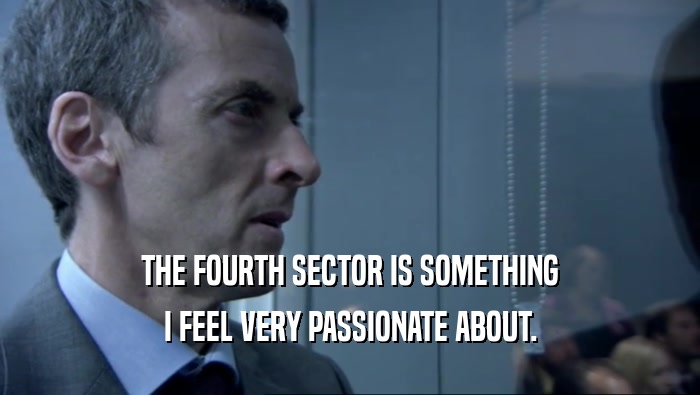 THE FOURTH SECTOR IS SOMETHING I FEEL VERY PASSIONATE ABOUT. 
