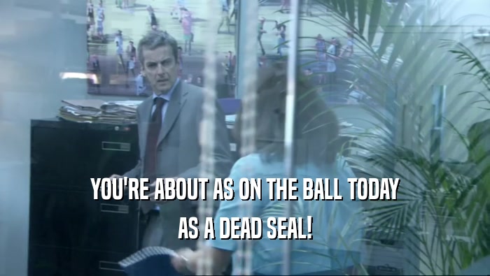YOU'RE ABOUT AS ON THE BALL TODAY AS A DEAD SEAL! 
