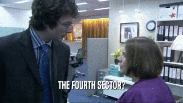 THE FOURTH SECTOR?  