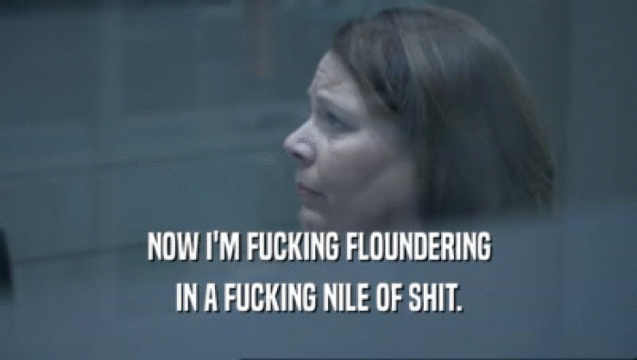 NOW I'M FUCKING FLOUNDERING IN A FUCKING NILE OF SHIT. 