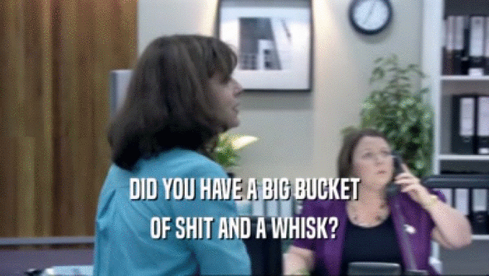 DID YOU HAVE A BIG BUCKET OF SHIT AND A WHISK? 