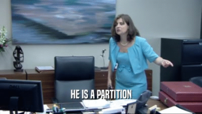 HE IS A PARTITION  