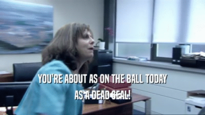 YOU'RE ABOUT AS ON THE BALL TODAY AS A DEAD SEAL! 