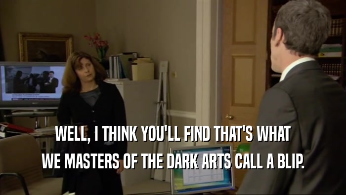 WELL, I THINK YOU'LL FIND THAT'S WHAT WE MASTERS OF THE DARK ARTS CALL A BLIP. 