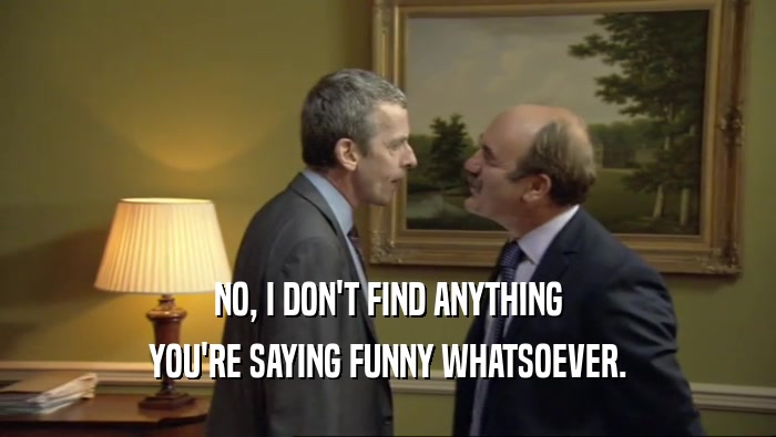 NO, I DON'T FIND ANYTHING YOU'RE SAYING FUNNY WHATSOEVER. 