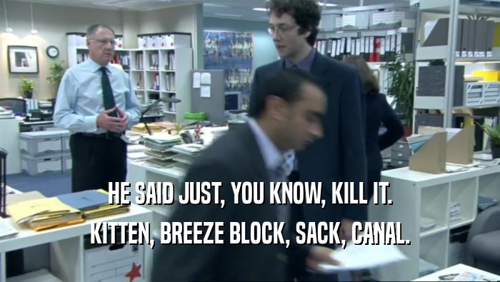 HE SAID JUST, YOU KNOW, KILL IT. KITTEN, BREEZE BLOCK, SACK, CANAL. 