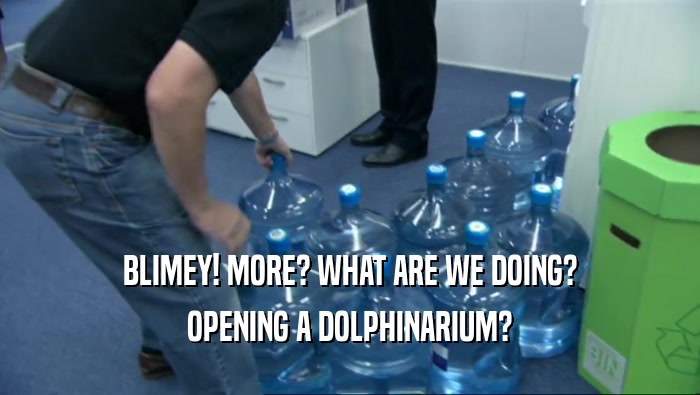 BLIMEY! MORE? WHAT ARE WE DOING? OPENING A DOLPHINARIUM? 
