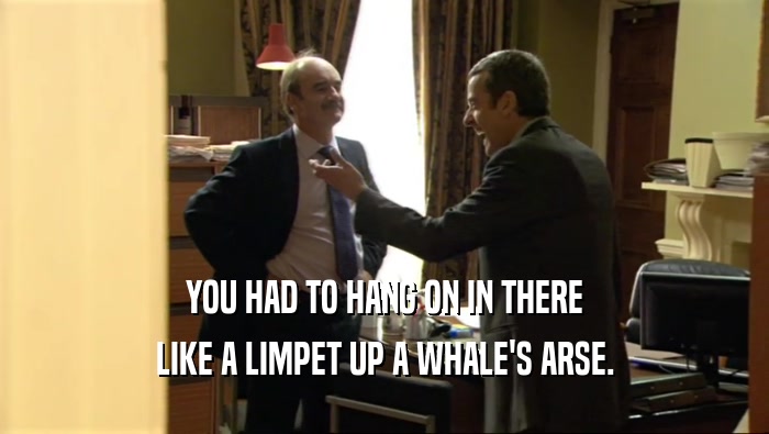 YOU HAD TO HANG ON IN THERE LIKE A LIMPET UP A WHALE'S ARSE. 