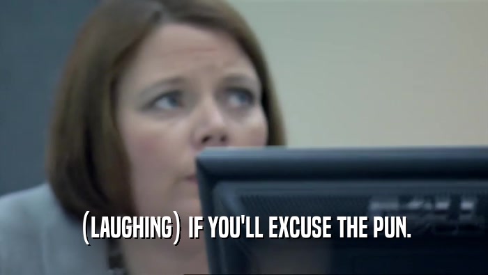 (LAUGHING) IF YOU'LL EXCUSE THE PUN.  