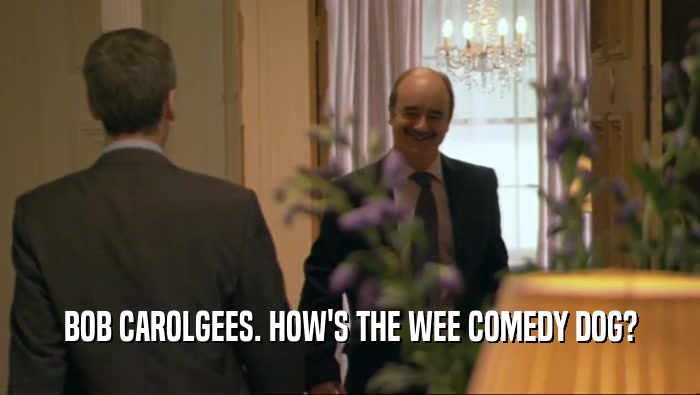 BOB CAROLGEES. HOW'S THE WEE COMEDY DOG?  