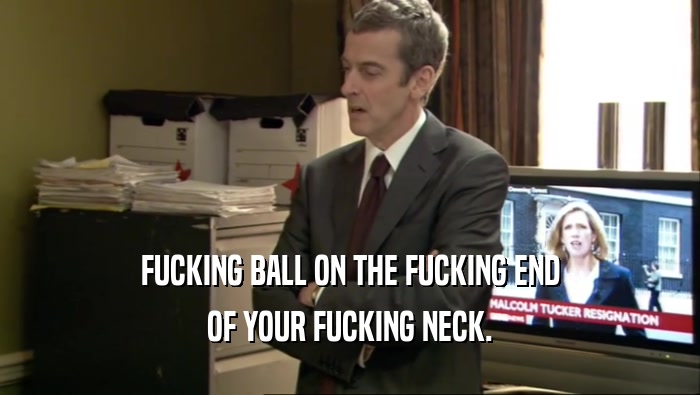 FUCKING BALL ON THE FUCKING END OF YOUR FUCKING NECK. 
