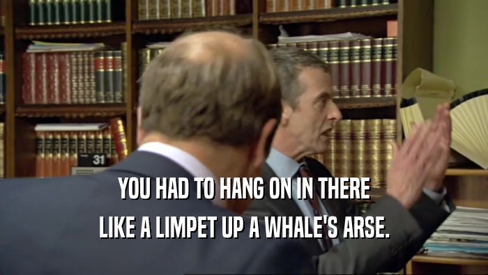YOU HAD TO HANG ON IN THERE LIKE A LIMPET UP A WHALE'S ARSE. 
