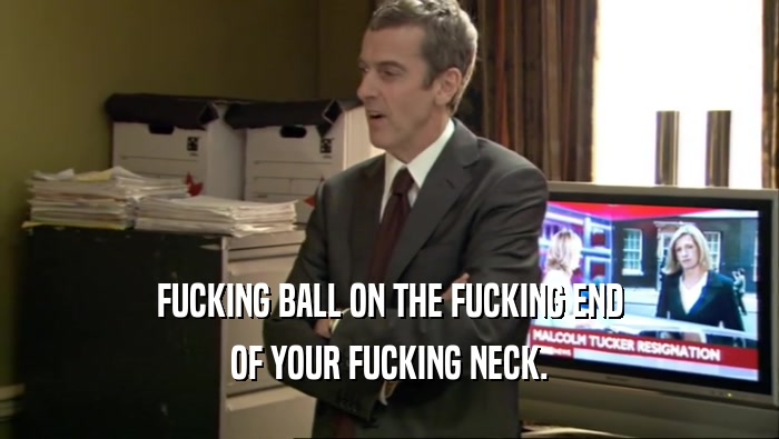 FUCKING BALL ON THE FUCKING END OF YOUR FUCKING NECK. 