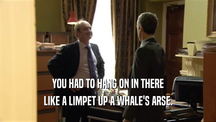 YOU HAD TO HANG ON IN THERE LIKE A LIMPET UP A WHALE'S ARSE. 