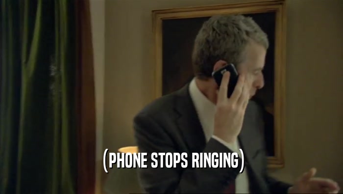 (PHONE STOPS RINGING)  