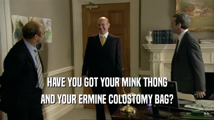 HAVE YOU GOT YOUR MINK THONG
 AND YOUR ERMINE COLOSTOMY BAG?
 