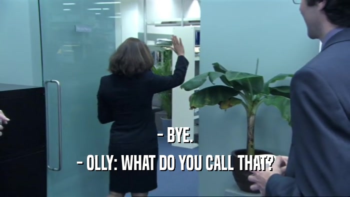 - BYE. - OLLY: WHAT DO YOU CALL THAT? 