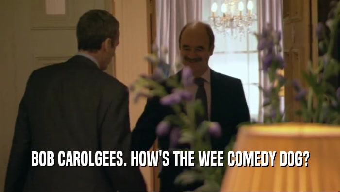 BOB CAROLGEES. HOW'S THE WEE COMEDY DOG?  
