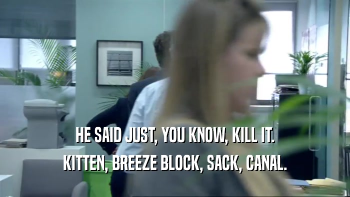 HE SAID JUST, YOU KNOW, KILL IT. KITTEN, BREEZE BLOCK, SACK, CANAL. 