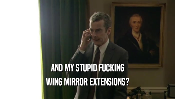 AND MY STUPID FUCKING WING MIRROR EXTENSIONS? 