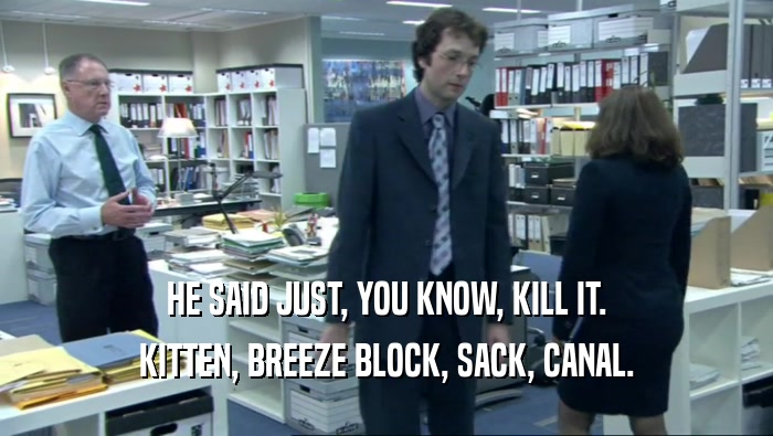 HE SAID JUST, YOU KNOW, KILL IT. KITTEN, BREEZE BLOCK, SACK, CANAL. 
