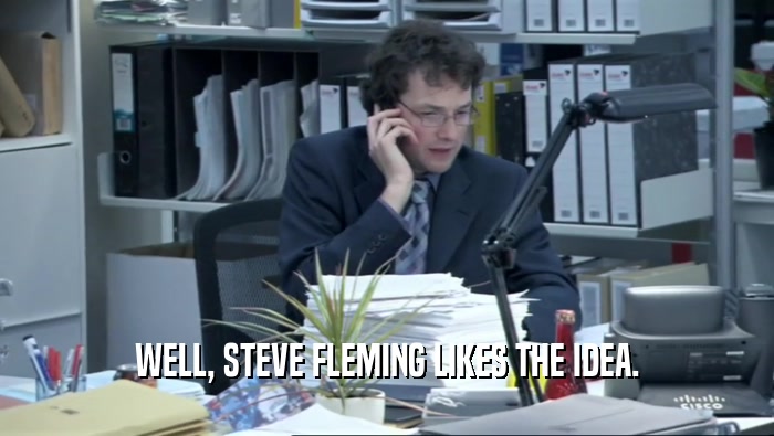 WELL, STEVE FLEMING LIKES THE IDEA.  