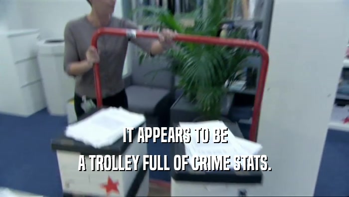 IT APPEARS TO BE A TROLLEY FULL OF CRIME STATS. 