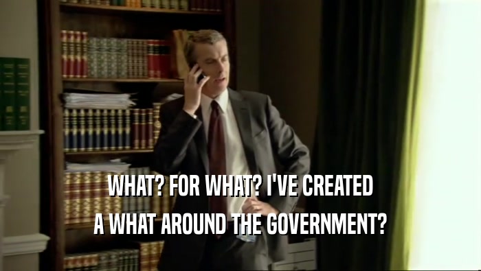 WHAT? FOR WHAT? I'VE CREATED A WHAT AROUND THE GOVERNMENT? 