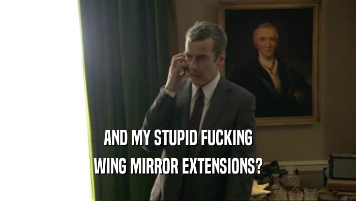 AND MY STUPID FUCKING WING MIRROR EXTENSIONS? 