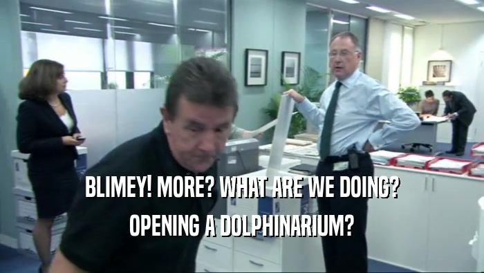 BLIMEY! MORE? WHAT ARE WE DOING? OPENING A DOLPHINARIUM? 