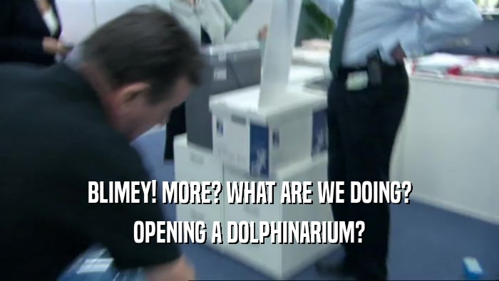 BLIMEY! MORE? WHAT ARE WE DOING? OPENING A DOLPHINARIUM? 